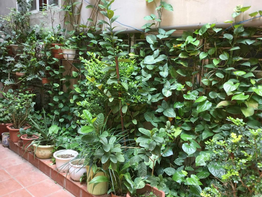 French-Styled House Apartment Hanoi Exterior photo